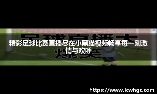 精彩足球比赛直播尽在小黑猫视频畅享每一刻激情与欢呼